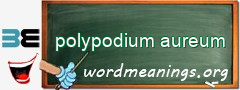 WordMeaning blackboard for polypodium aureum